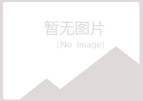 马山县曼山会计有限公司